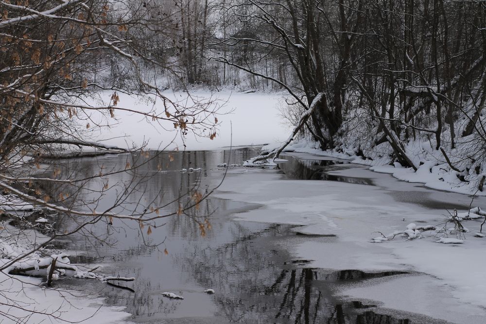 Фотография автора Anzhelika