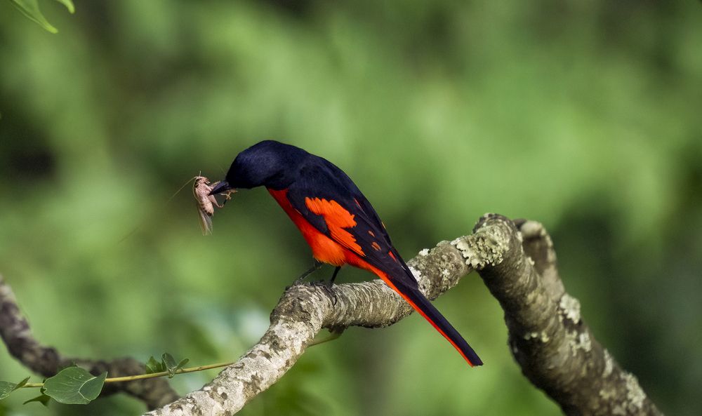 Photograph by MAYANK VERMA