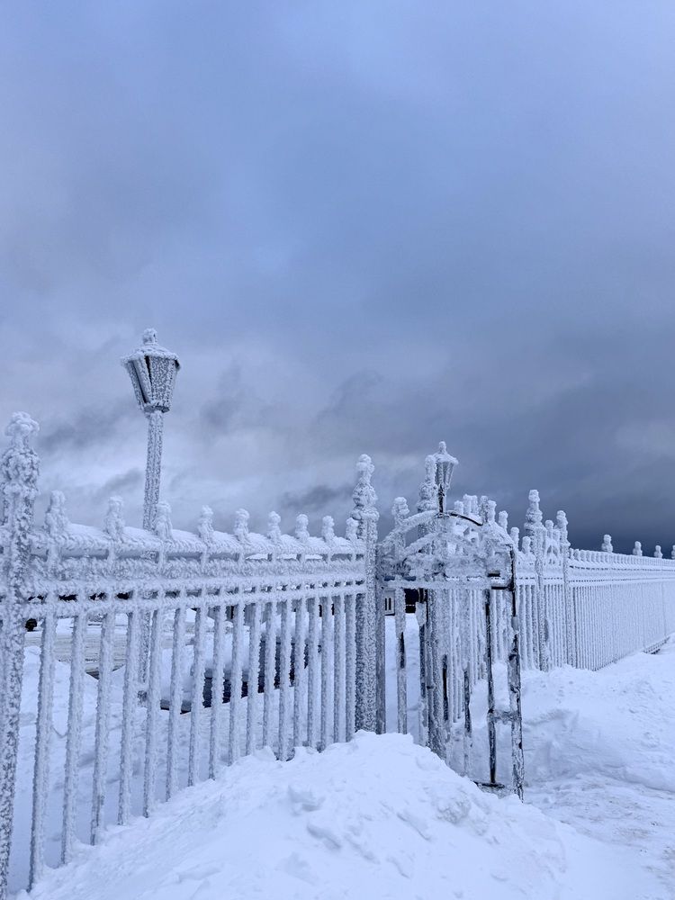 Photograph by Михаил Дагаев