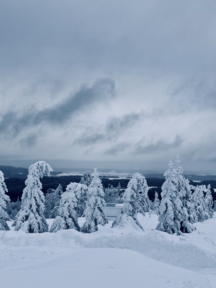 Photograph by Михаил Дагаев