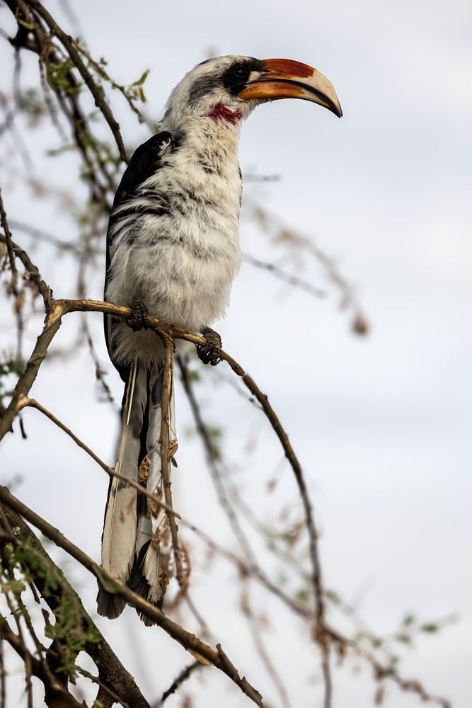 Photograph by Одаренко Ольга