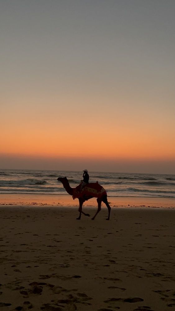 Silhouette at Sundown