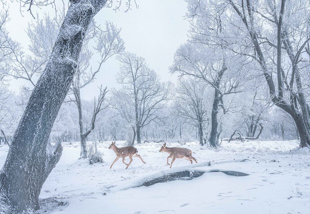 Photograph by Luo Aijun