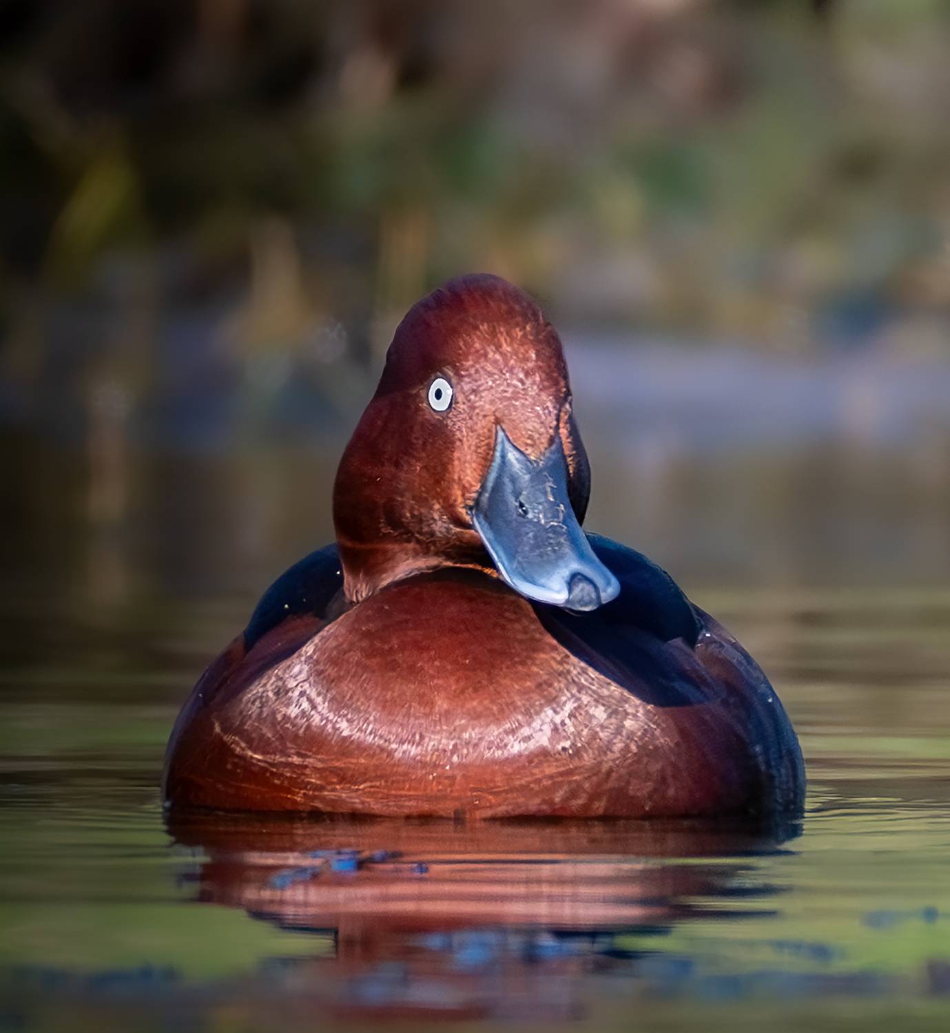 Фотография #13136003