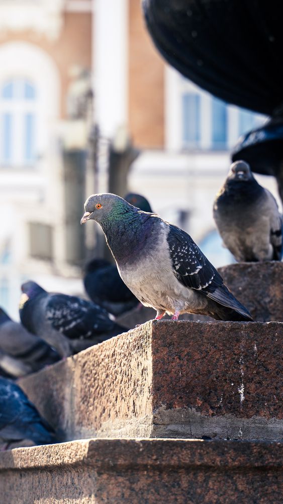 Photograph by Илья Жуковский