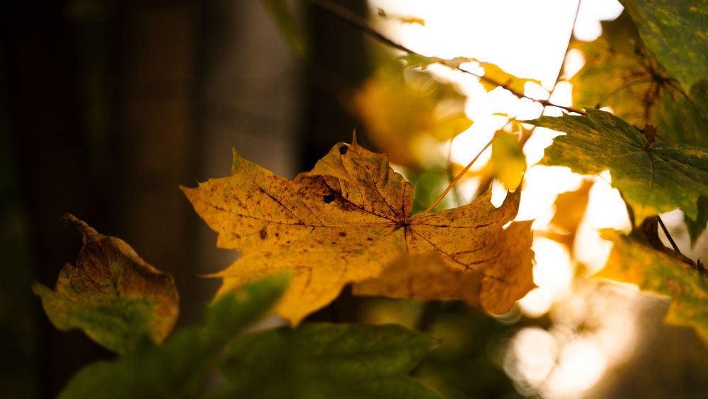 Photograph by Илья Жуковский