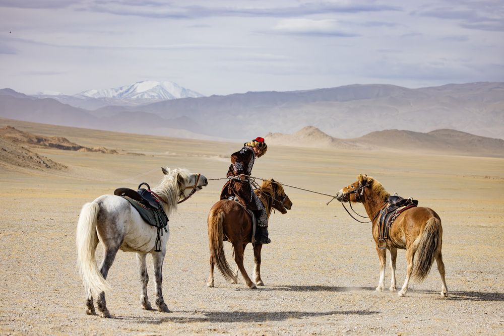 Photograph by Одаренко Ольга