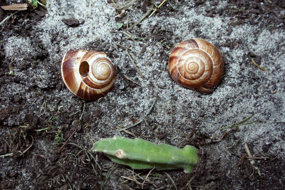 Photograph by Наталия Ангельева