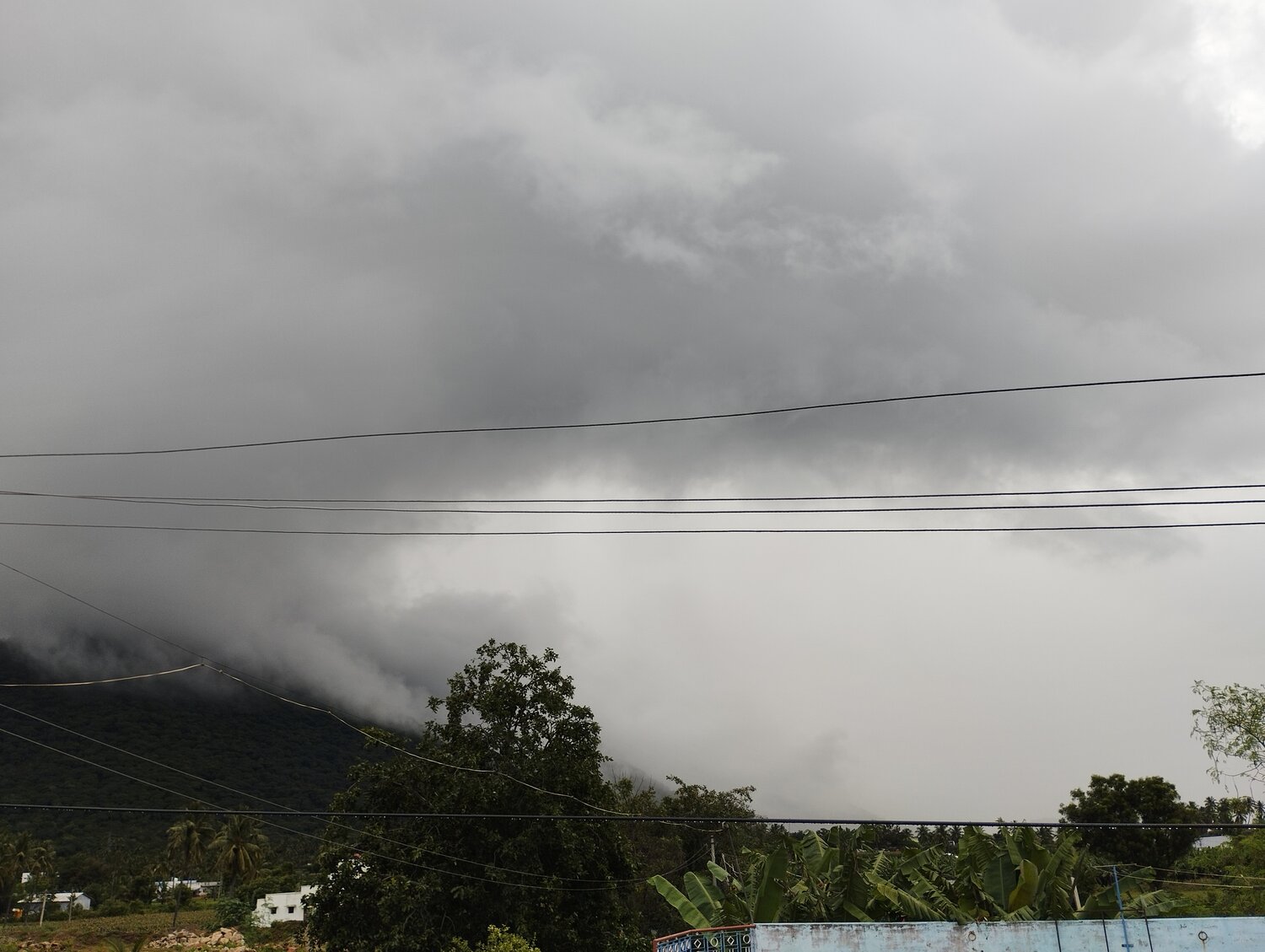 Photo #13136056