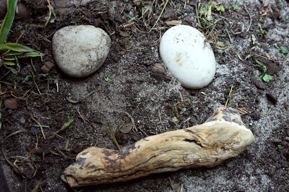 Photograph by Наталия Ангельева