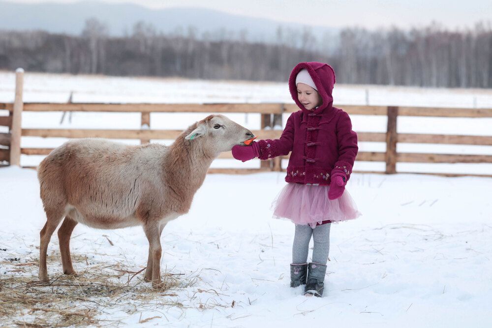 Photograph by Ольга Колобова