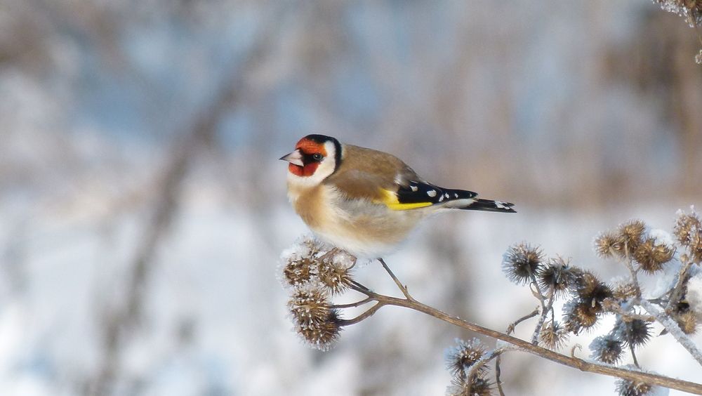 Photograph by Егор Чинарев