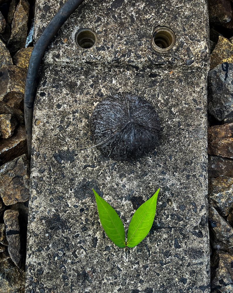 Фотография автора Laddu Sasindu Pramuditha De Silva