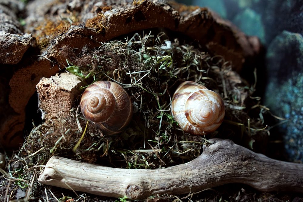 Photograph by Наталия Ангельева