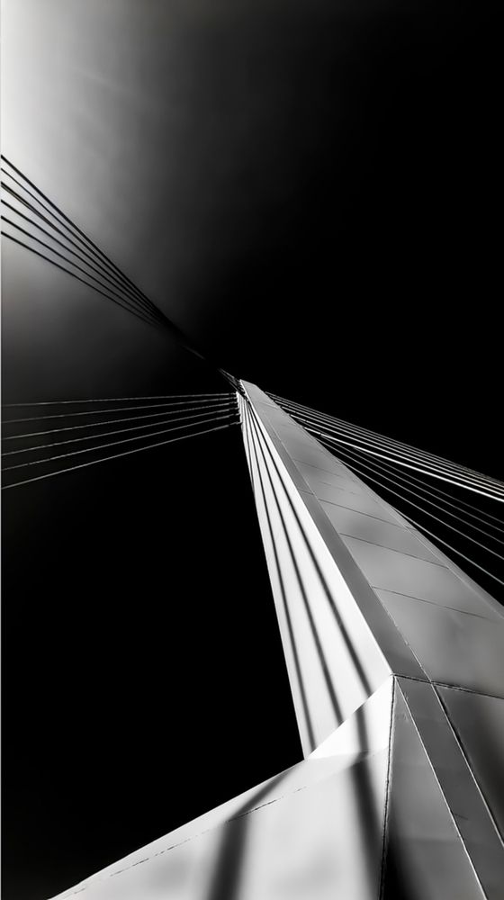 Puente Elisa