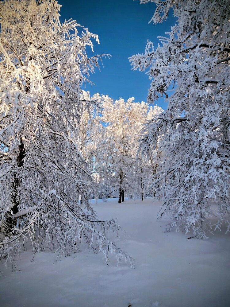 Photograph by Дарья Булавина