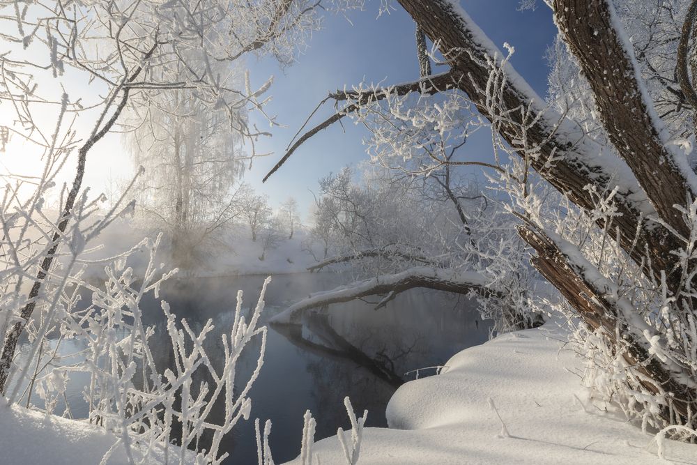 Photograph by Гусева Елена