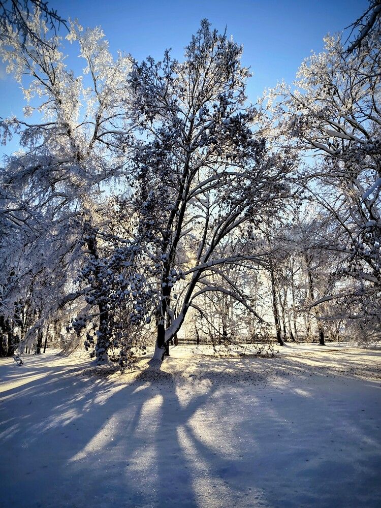 Photograph by Дарья Булавина