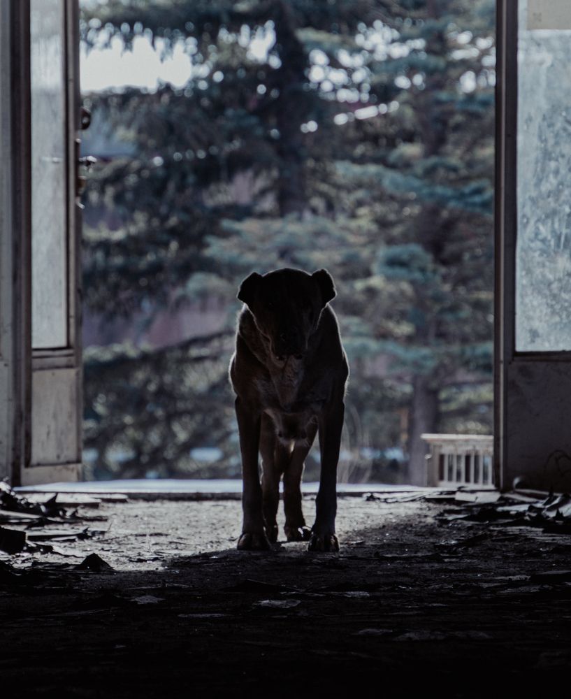 Photograph by Татьяна Мохова