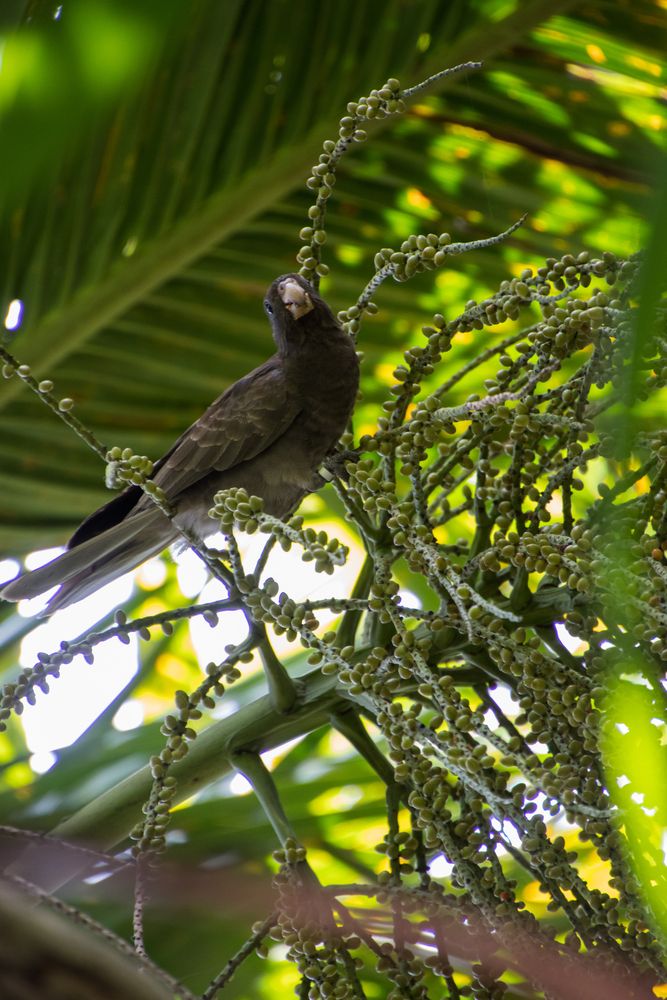 Photograph by Татьяна Мохова