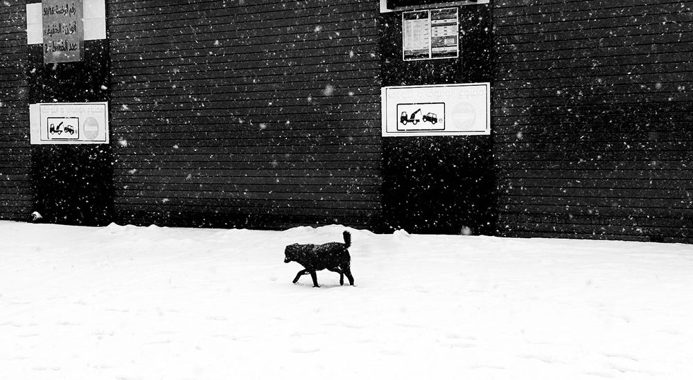 Photograph by Ahmad LOUKILI
