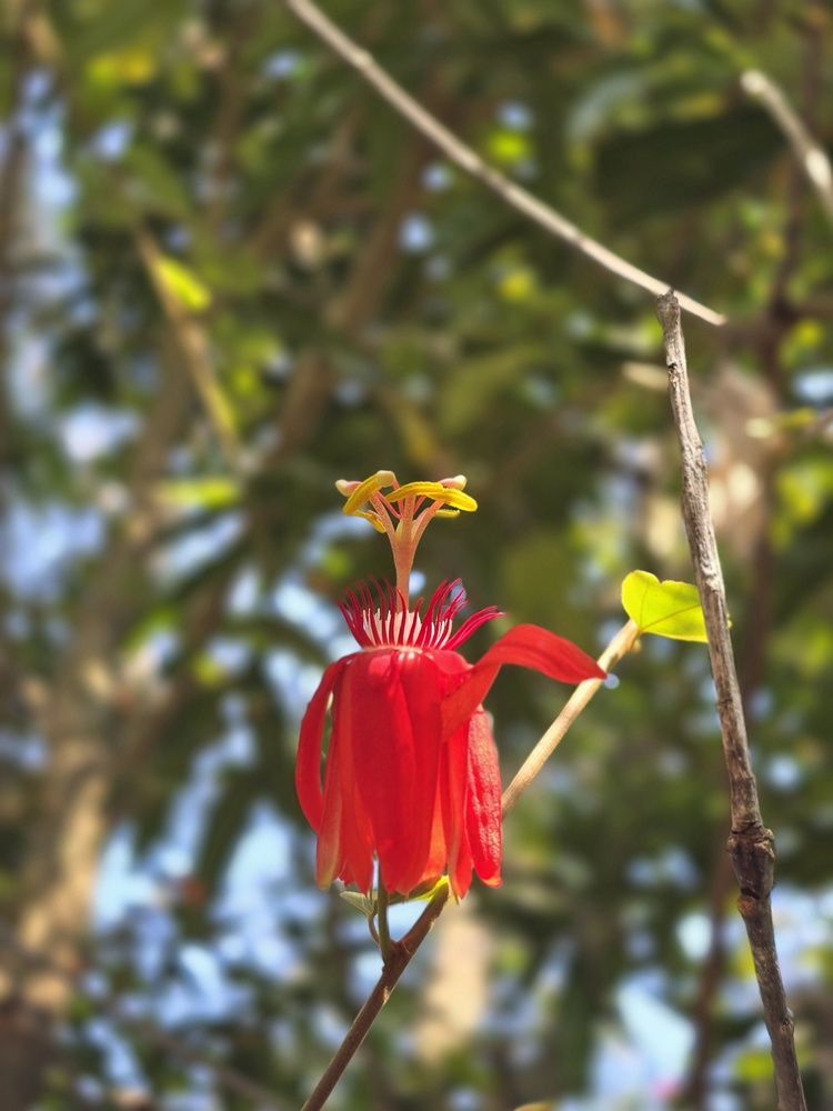 Photograph by YUKTA DESAI