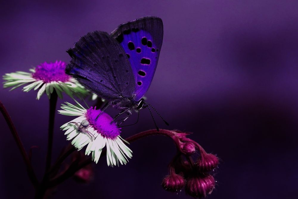 Photograph by Наталья Лобанова