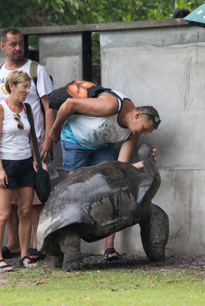 Photograph by Татьяна Мохова