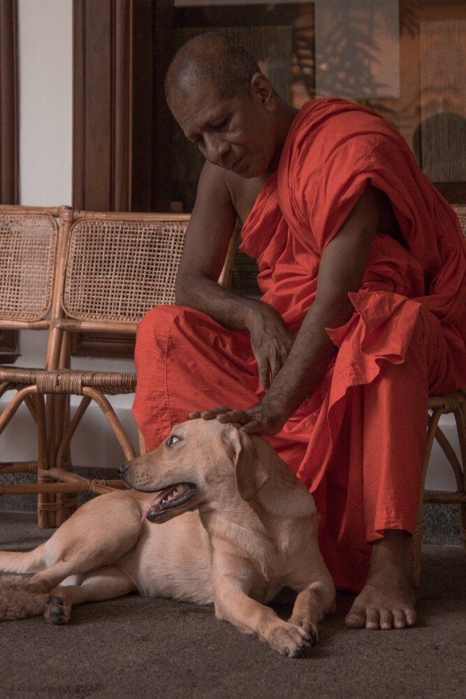 Photograph by Татьяна Мохова