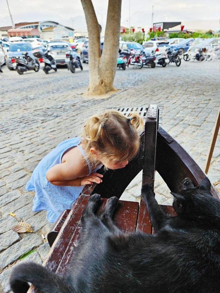 Фотография автора Tatiana Shirenko