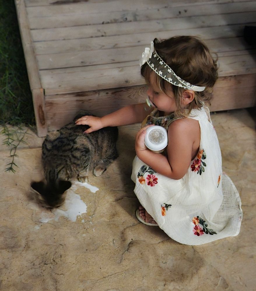 Фотография автора Tatiana Shirenko