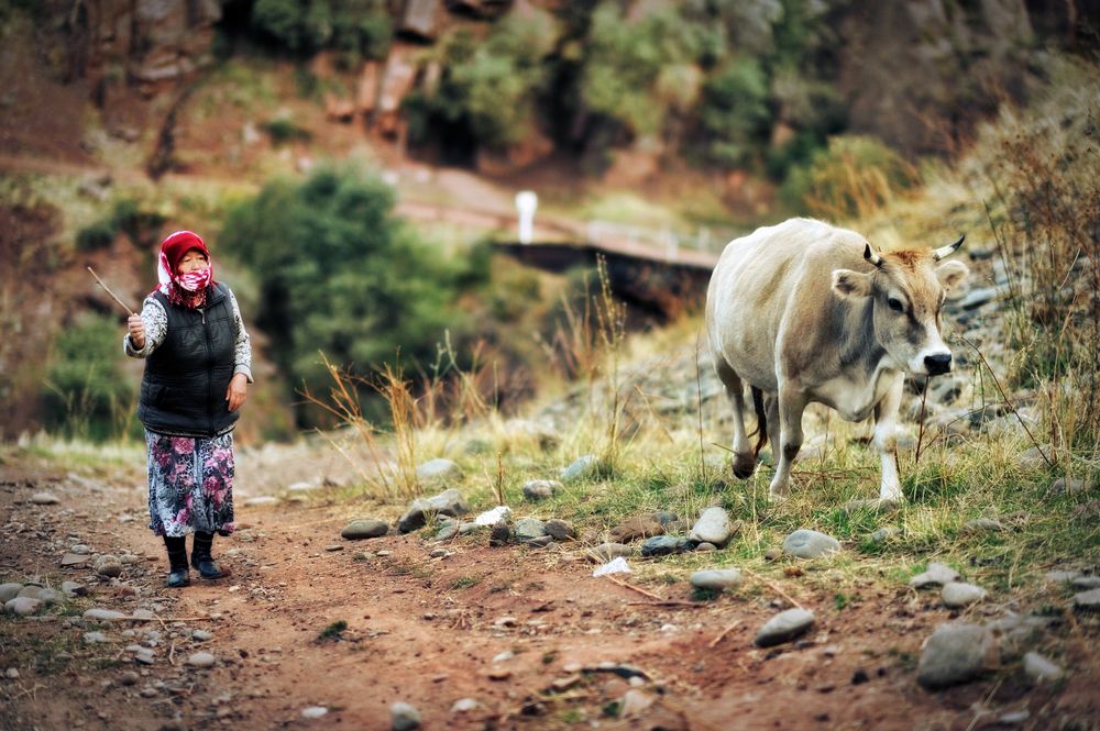 Photograph by Пирог Борис