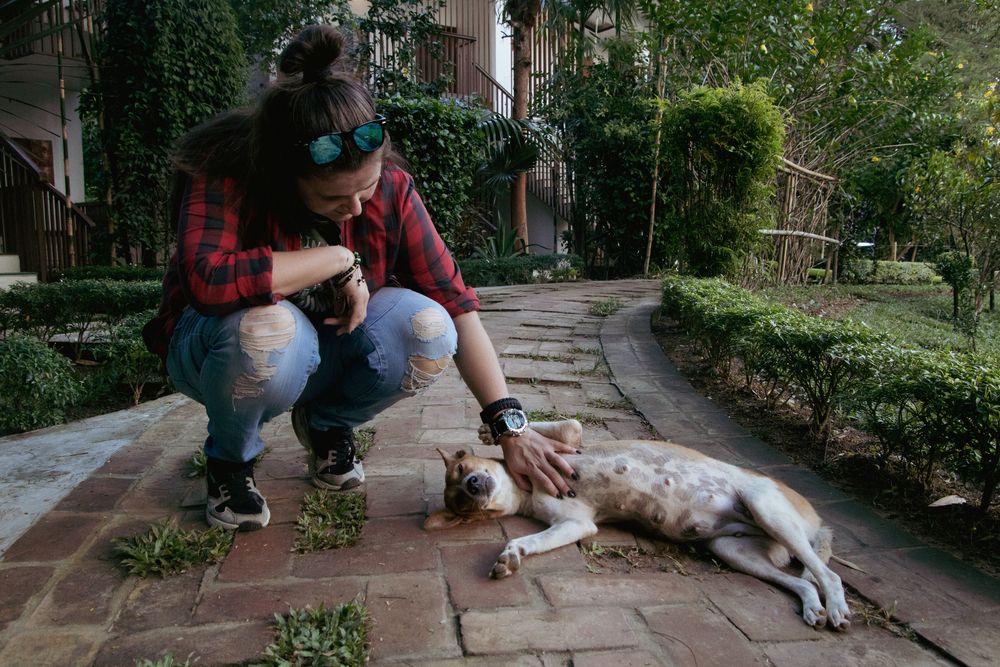 Photograph by Татьяна Мохова