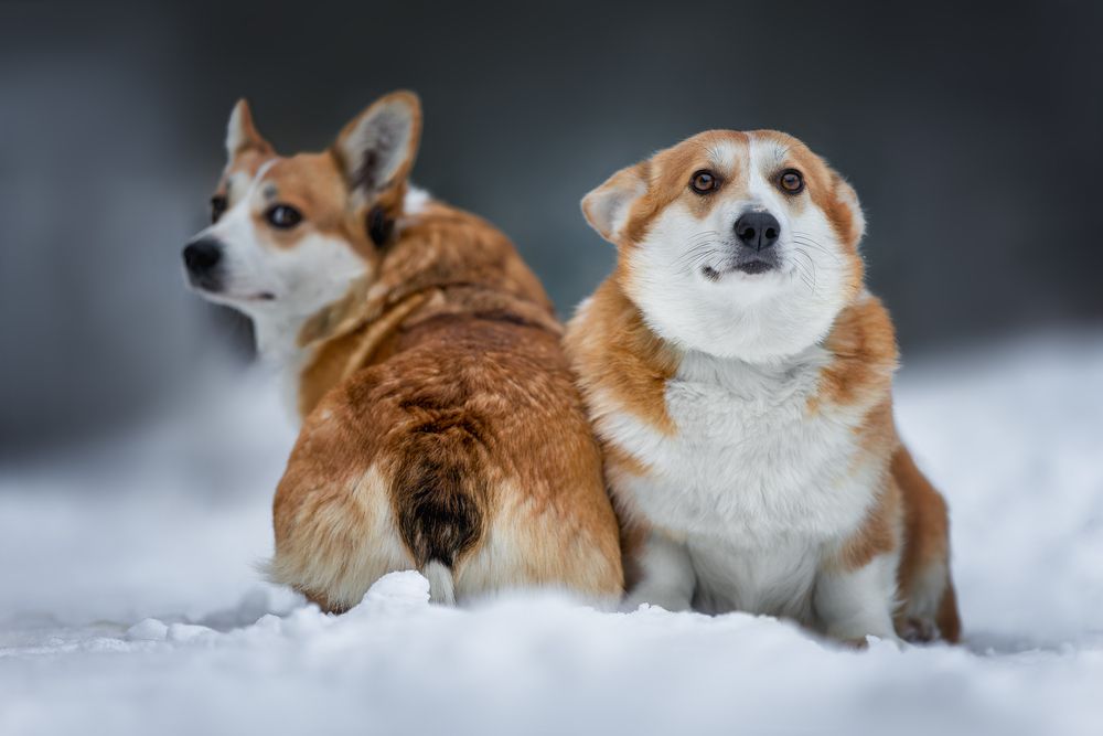 Photograph by Ирина Шестакова