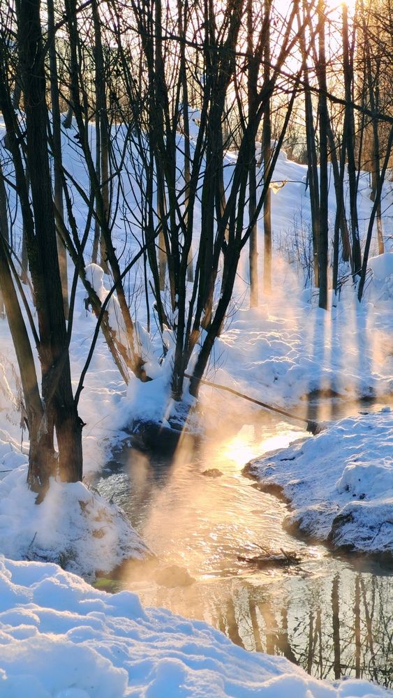 Фотография автора Юлия Елецких