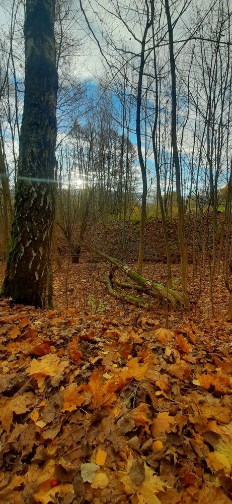 Photograph by Ия Энгельгардт (Левина)