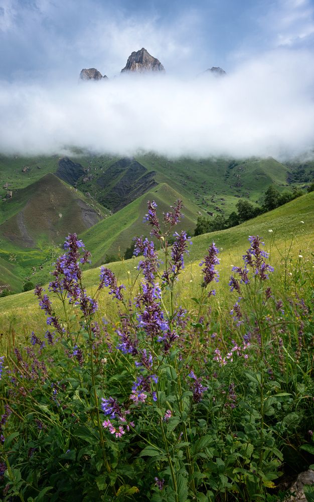 Photograph by Уфимцев Юрий