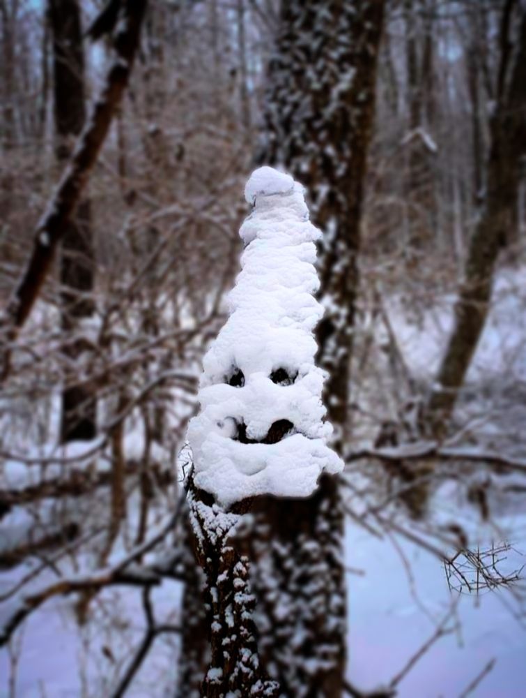 Лесовичок - снеговичок.