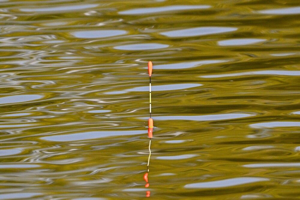 Photograph by Анатолий Каминский