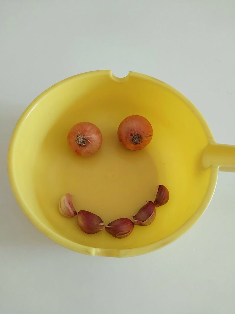 Photograph by Maria da Conceição Queiroz