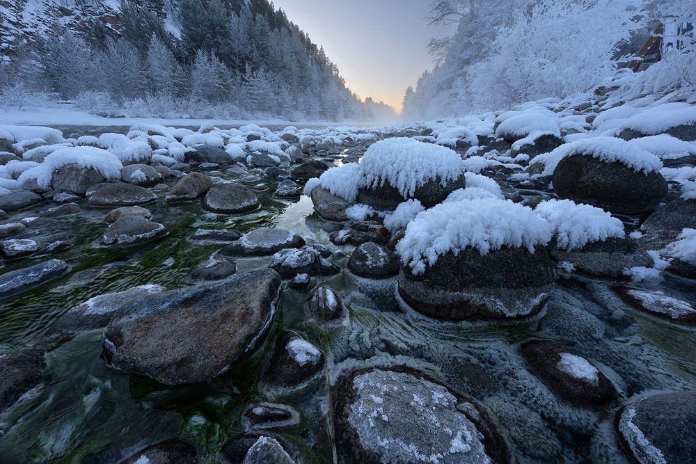 Photograph by Елена Вторушина