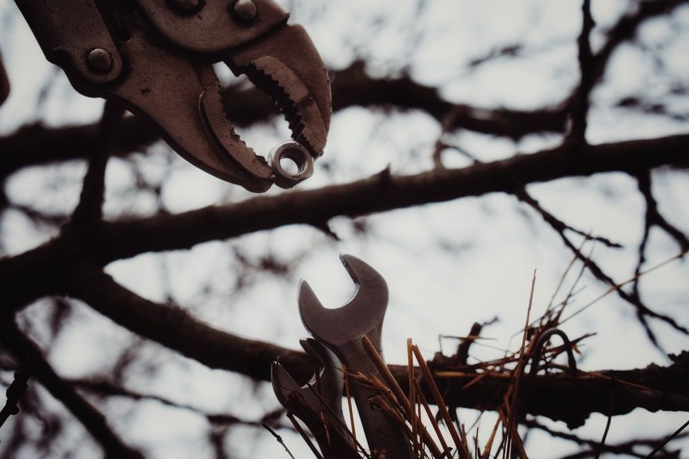 Photograph by Нина Москалёва