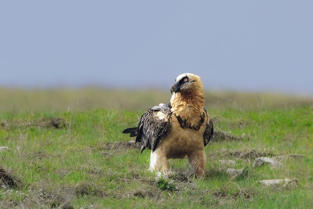 Photograph by Светлана Барабанщикова