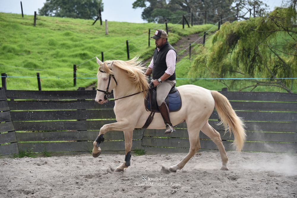 Фотография автора Camilo Martinez