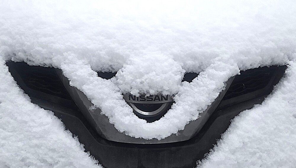 Photograph by Владимир Малёшин