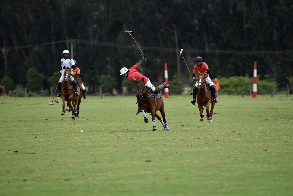 Фотография автора Camilo Martinez