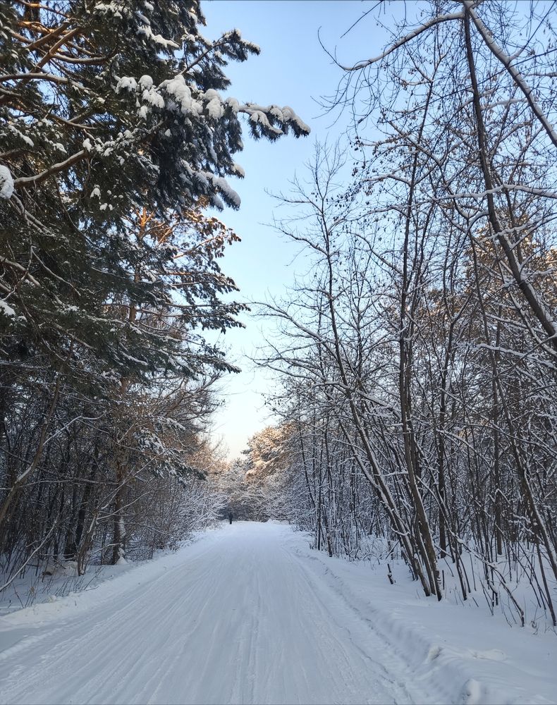 Фотография автора Ольга Петрова