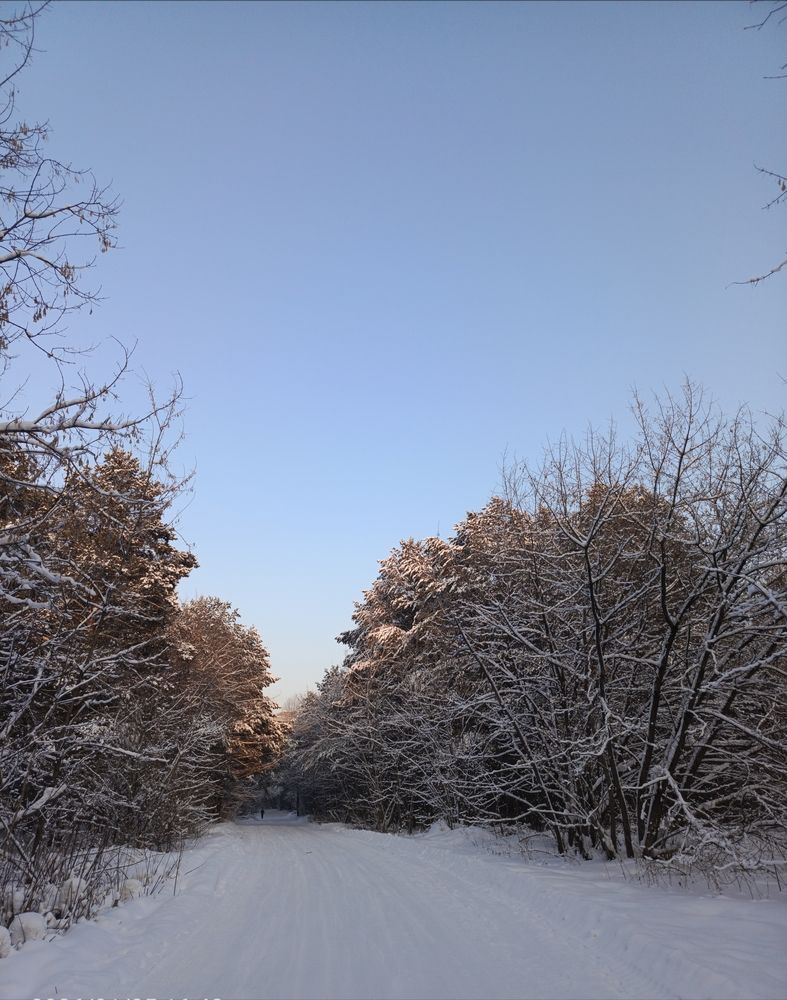 Фотография автора Ольга Петрова