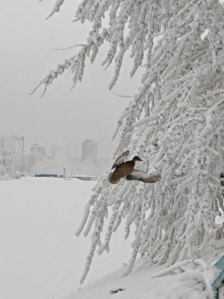 Photograph by Мария Тюрина