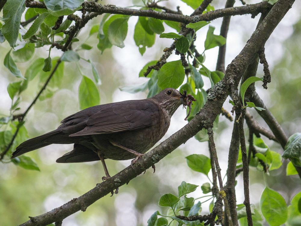 Photograph by Борис Журавлёв